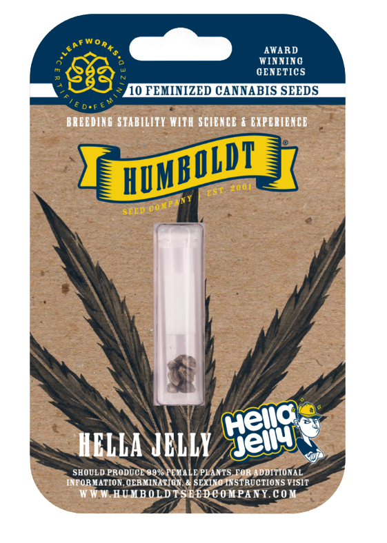 Humbolt Seed Co Hella Jelly 10 Feminzed Seeds